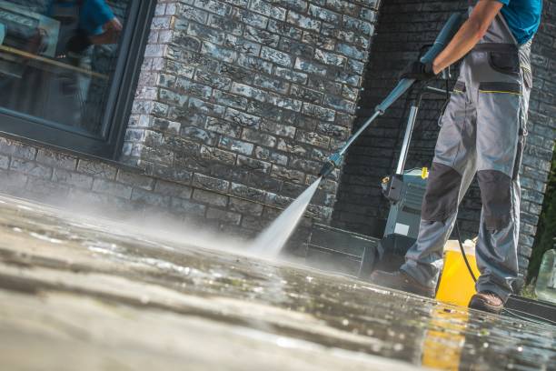 Best Animal Enclosure Cleaning  in Bradley, WV