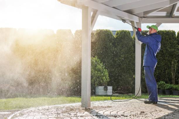 Best Solar Panel Cleaning  in Bradley, WV